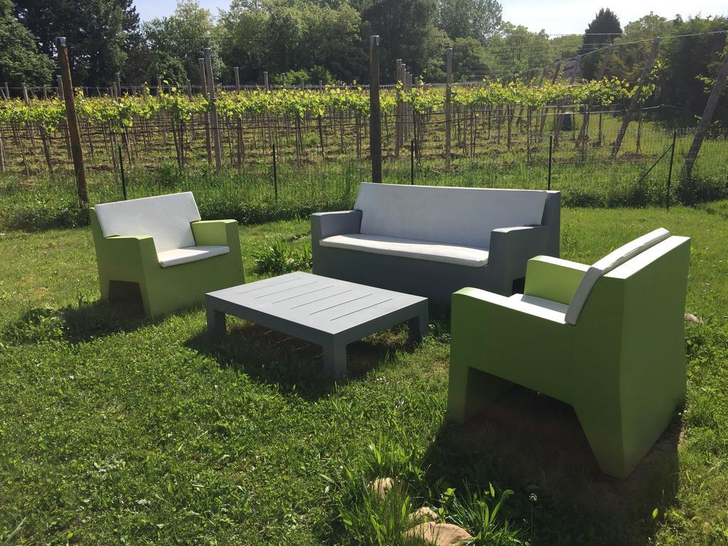 Magnificent Renovated Farmhouse - 10 Min A7 - Leilighet Anneyron Eksteriør bilde